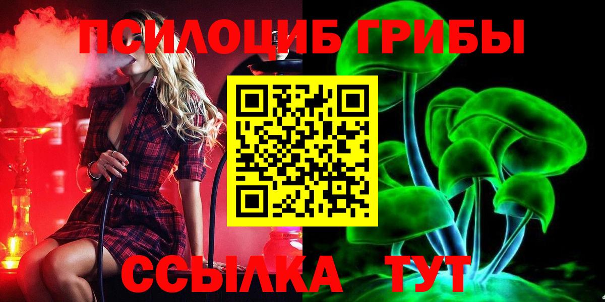 Псилоцибиновые грибы Cubensis  Вход с VPN  Орехово-Зуево  Псилоцибиновые грибы Psilocybine cubensis 