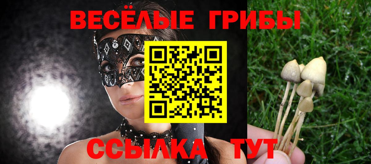 Галлюциногенные грибы мухоморы Орехово-Зуево